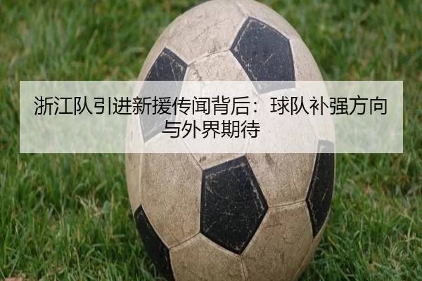 浙江队引进新援传闻背后：球队补强方向与外界期待