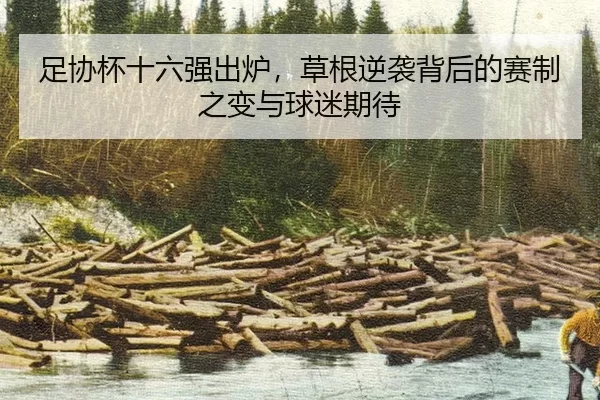 足协杯十六强出炉，草根逆袭背后的赛制之变与球迷期待